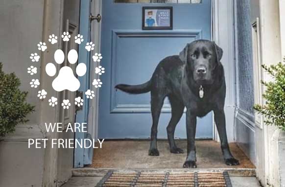 We are pet friendly